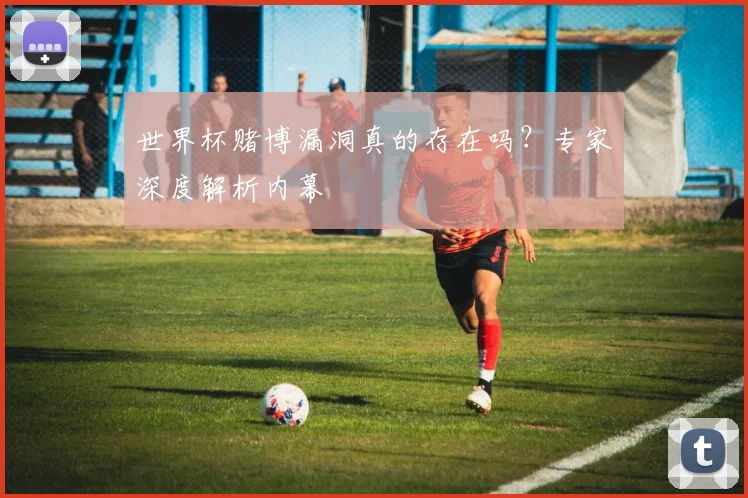 世界杯赌博漏洞真的存在吗？专家深度解析内幕