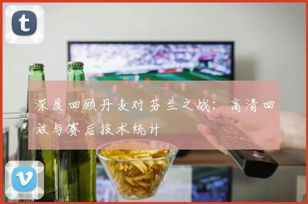 深度回顾丹麦对芬兰之战：高清回放与赛后技术统计