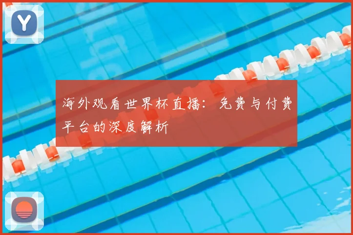 海外观看世界杯直播：免费与付费平台的深度解析