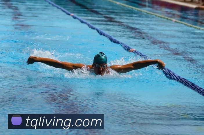 mksports在线登录入口APP 封面图